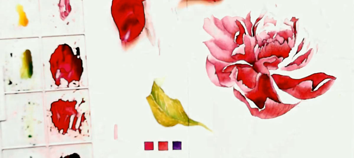 Как нарисовать пион - Брюханова (2016)_0.png